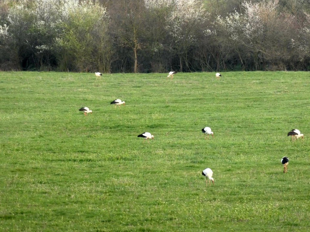 photo40.jpg