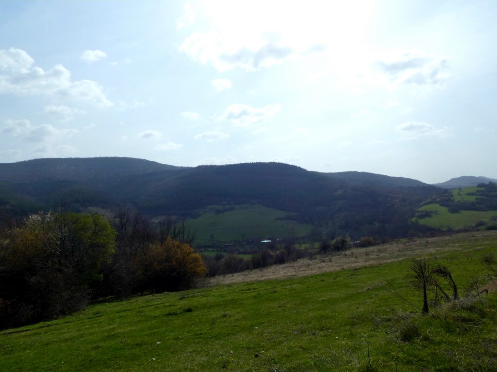 photo46.jpg