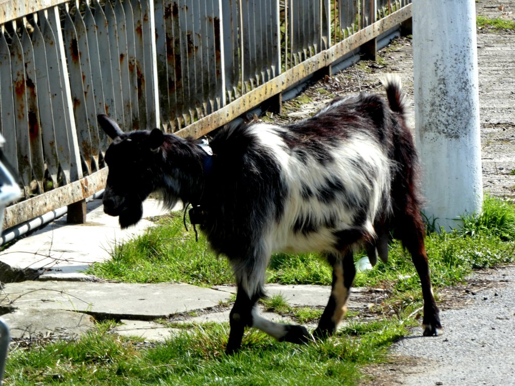 photo51.jpg