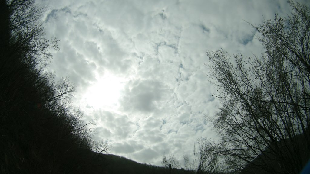 photo57.jpg