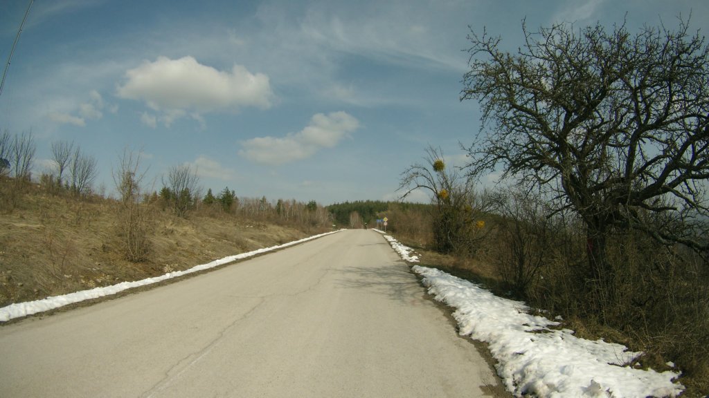 photo61.jpg