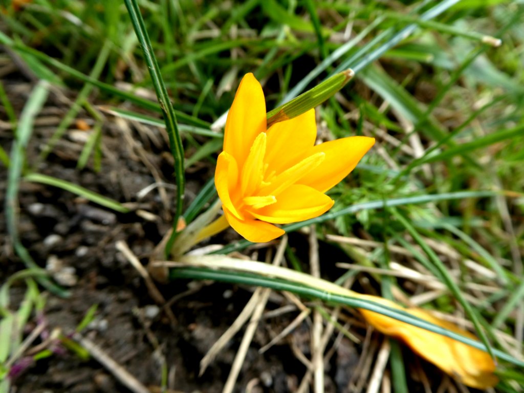 photo64.jpg