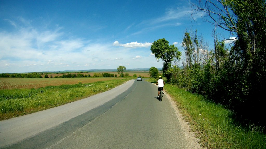 photo11.jpg