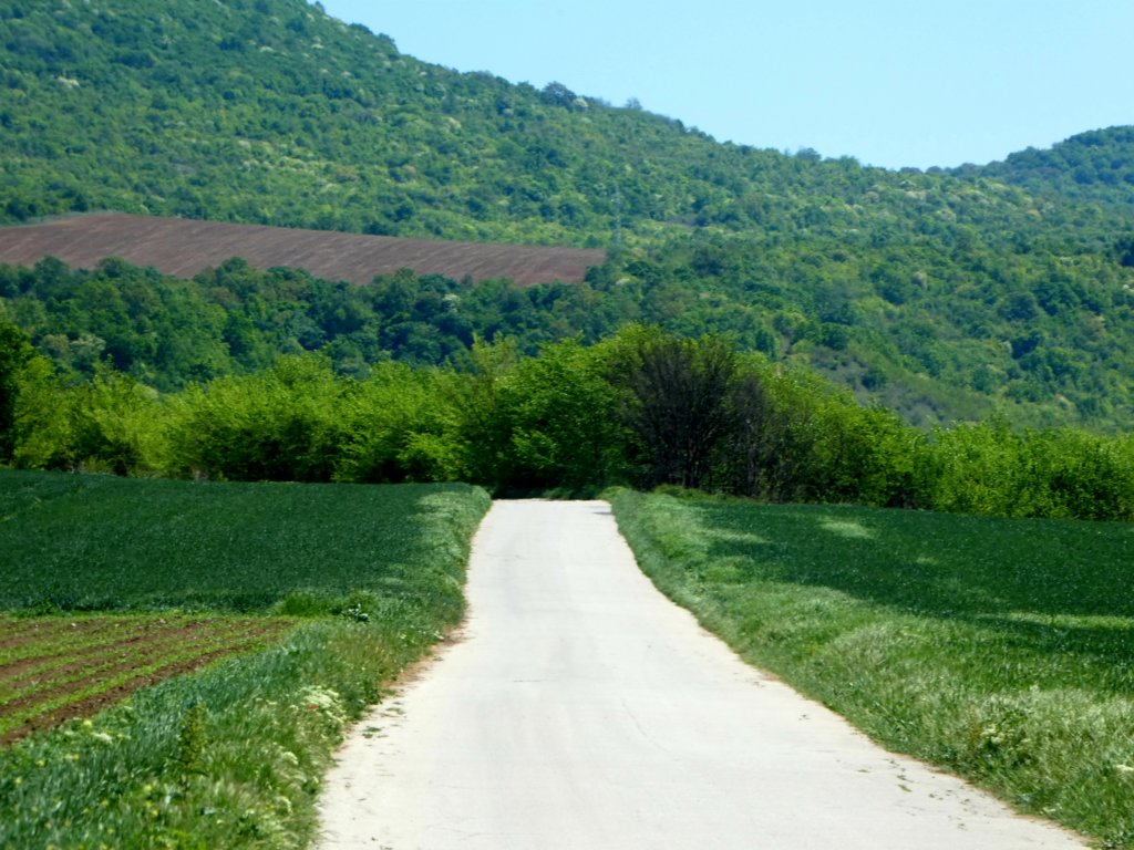 photo20.jpg