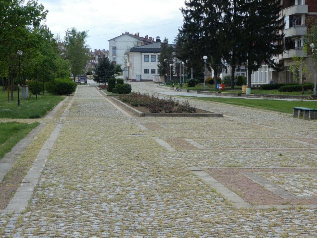 photo39.jpg
