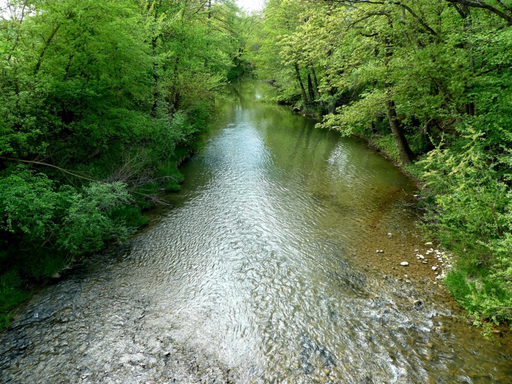 photo60.jpg