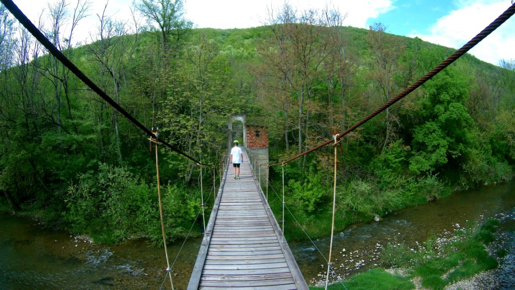 photo64.jpg