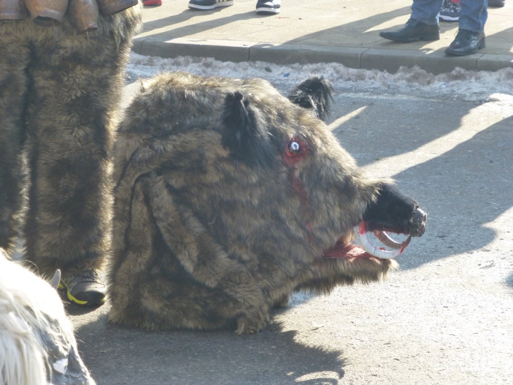 photo41.jpg