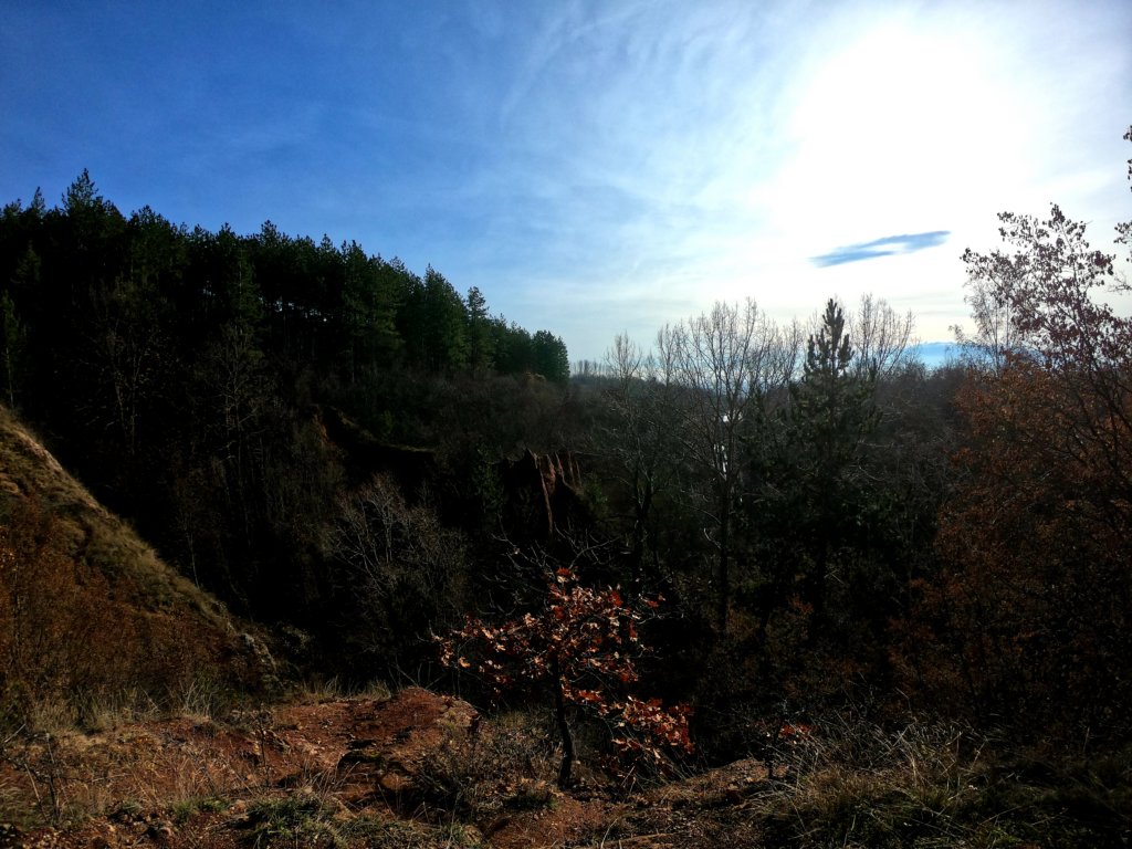 photo61.jpg