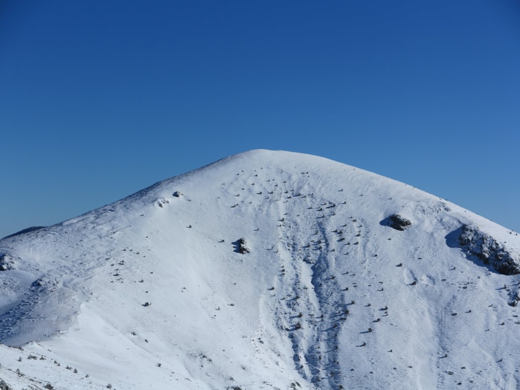 photo16.jpg