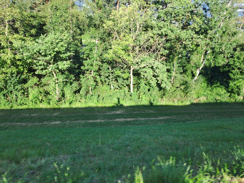 photo13.jpg