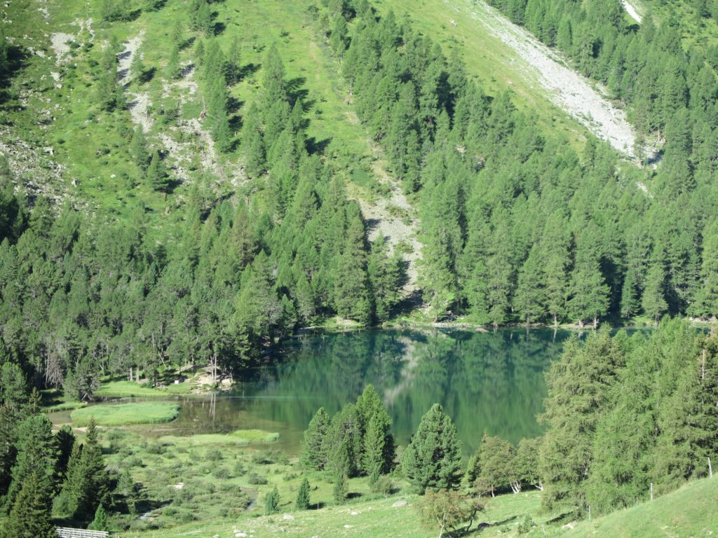 photo17.jpg