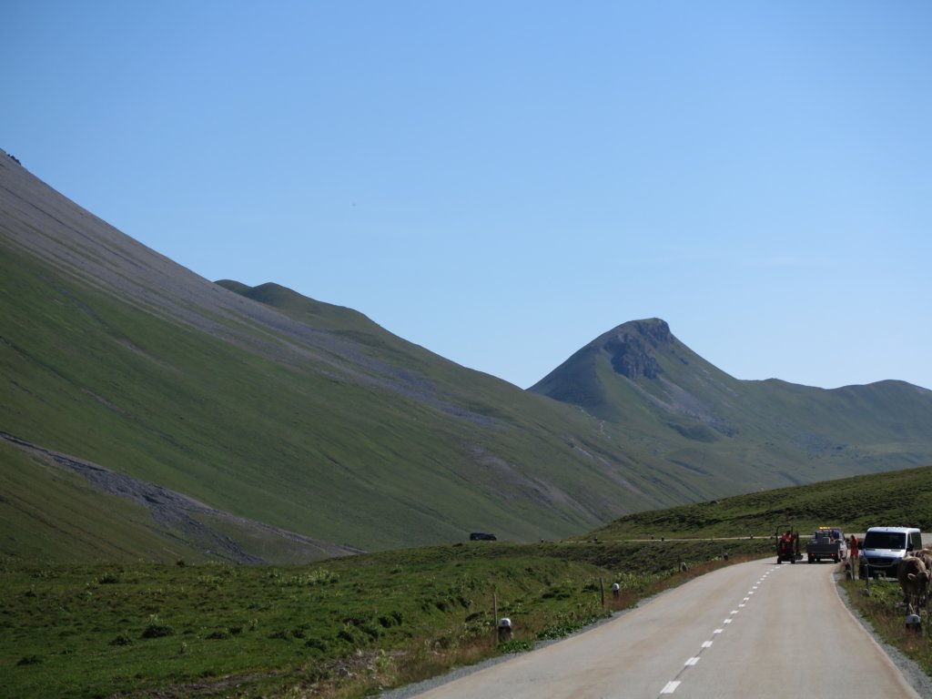photo46.jpg