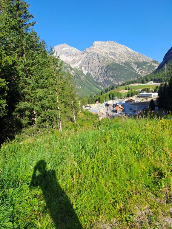 photo8.jpg