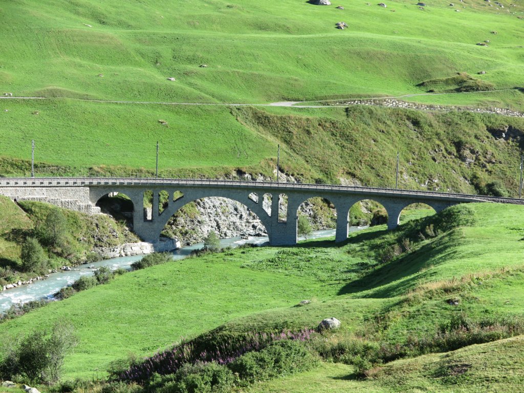 photo26.jpg