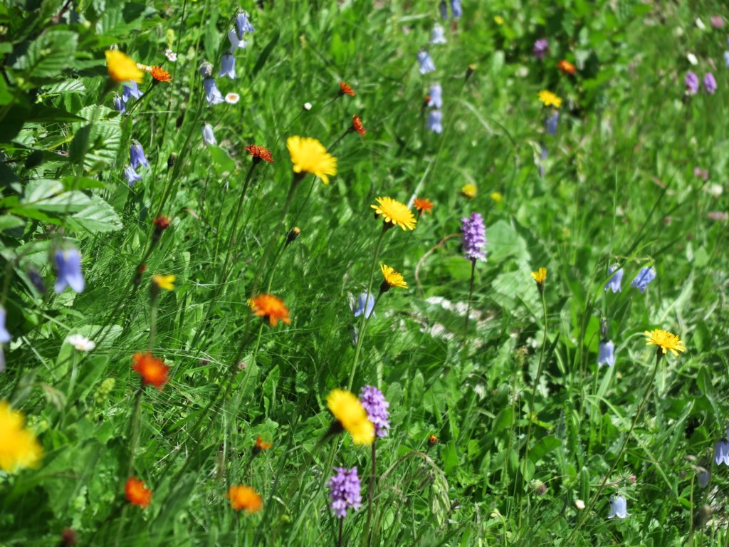 photo68.jpg