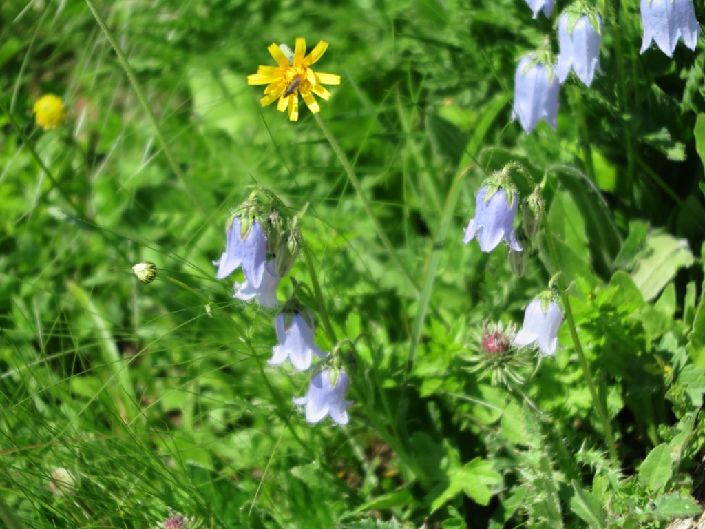 photo71.jpg
