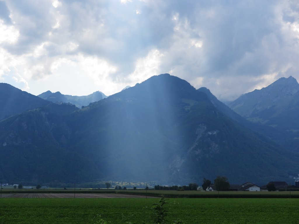 photo26.jpg