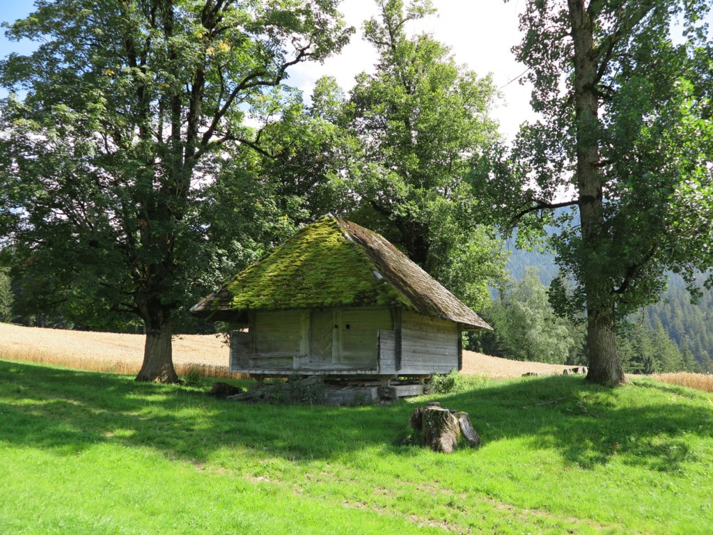 photo28.jpg