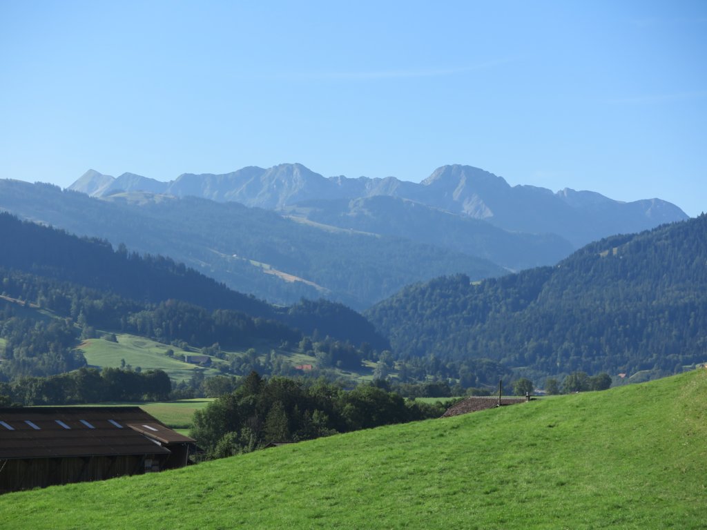 photo3.jpg