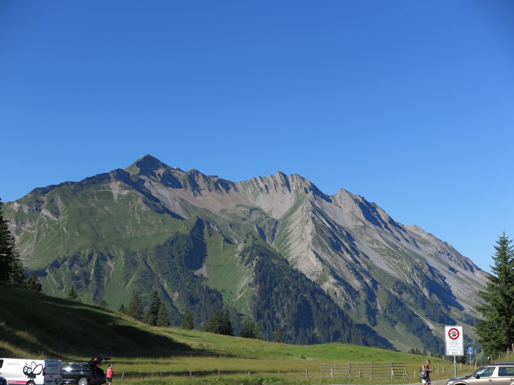 photo16.jpg