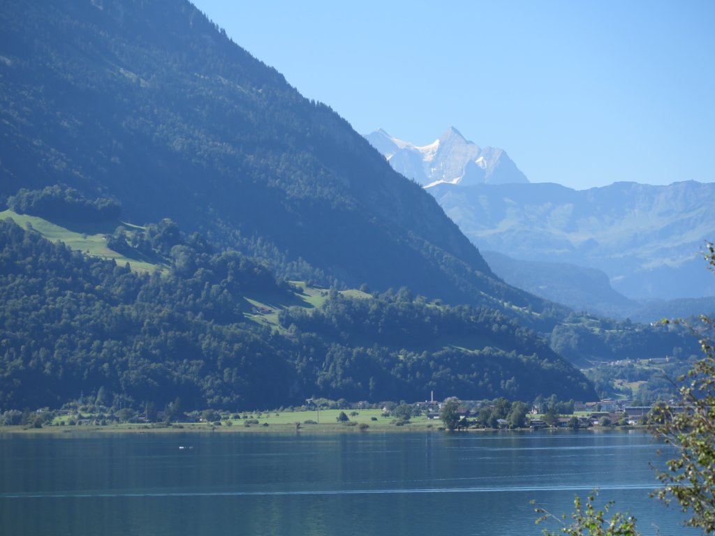 photo33.jpg