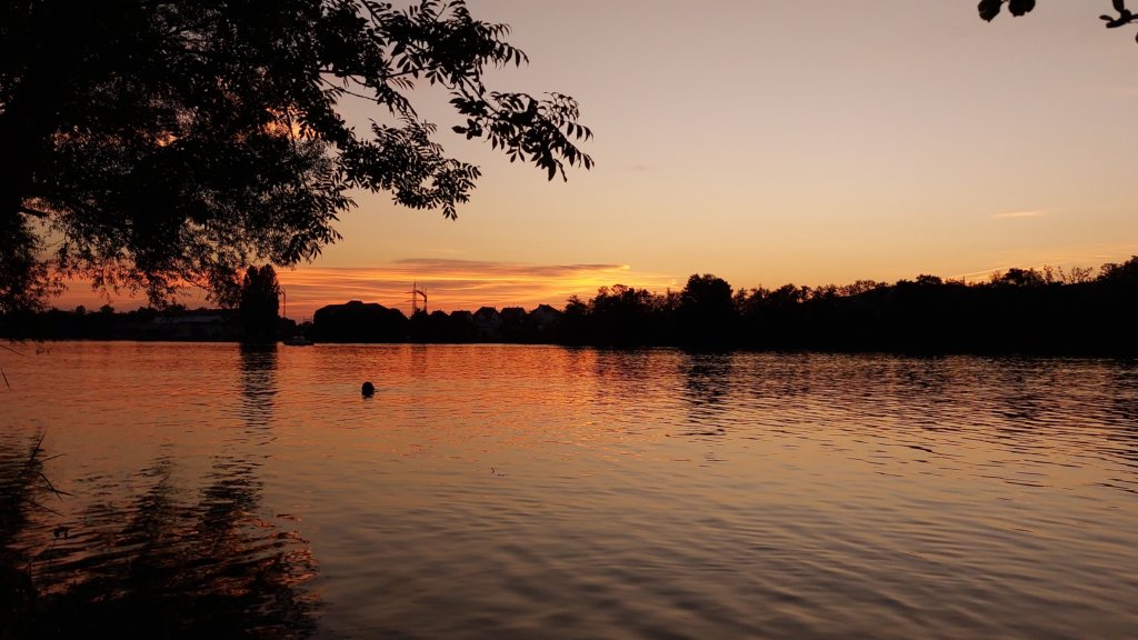 photo44.jpg