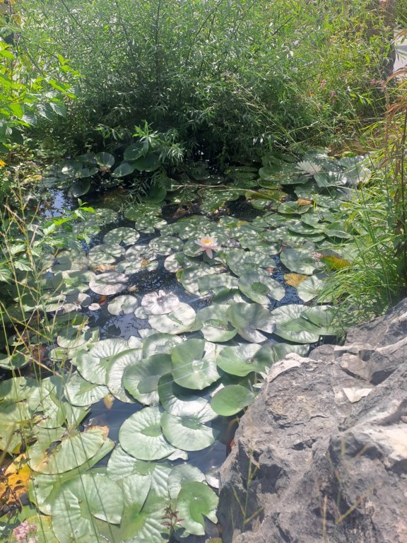 photo7.jpg