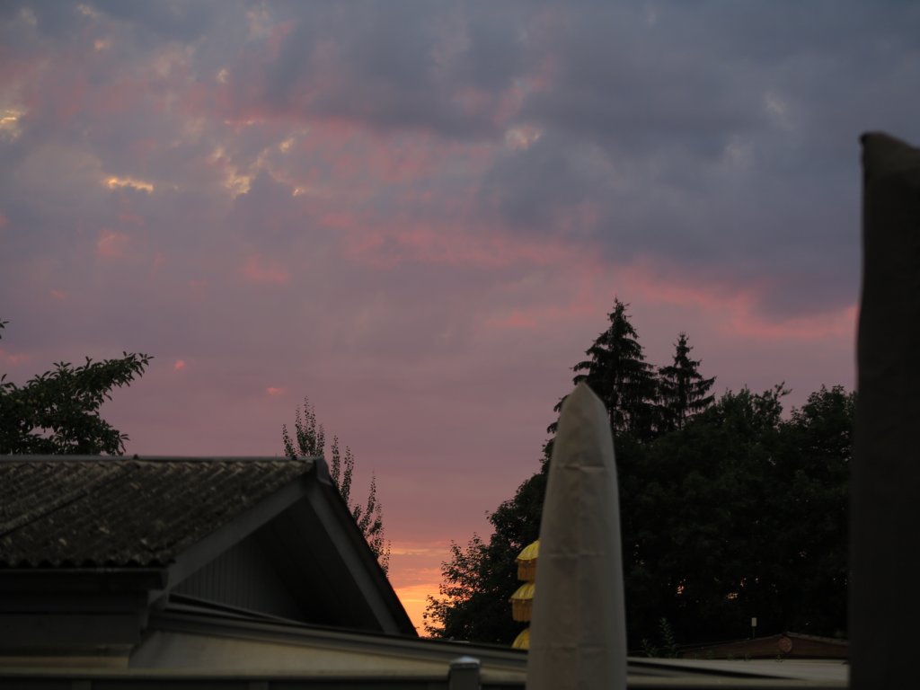 photo88.jpg