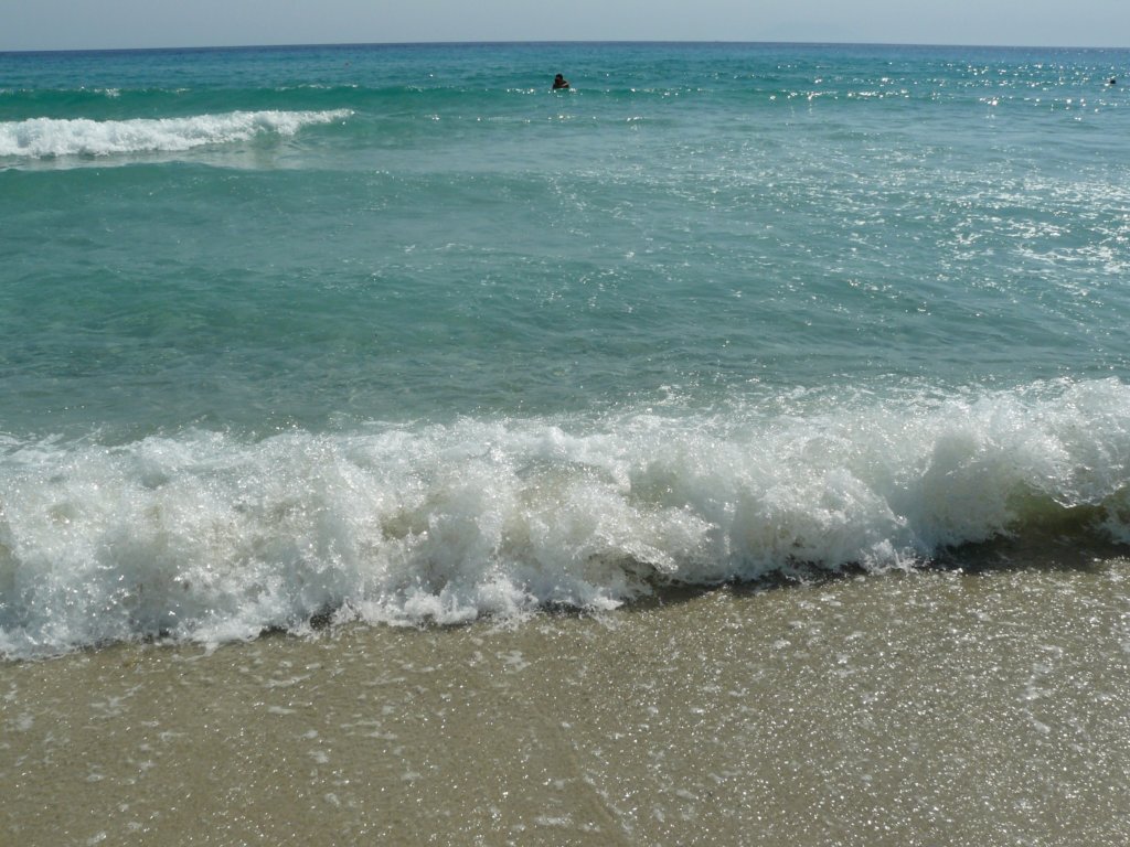 p1120814.jpg