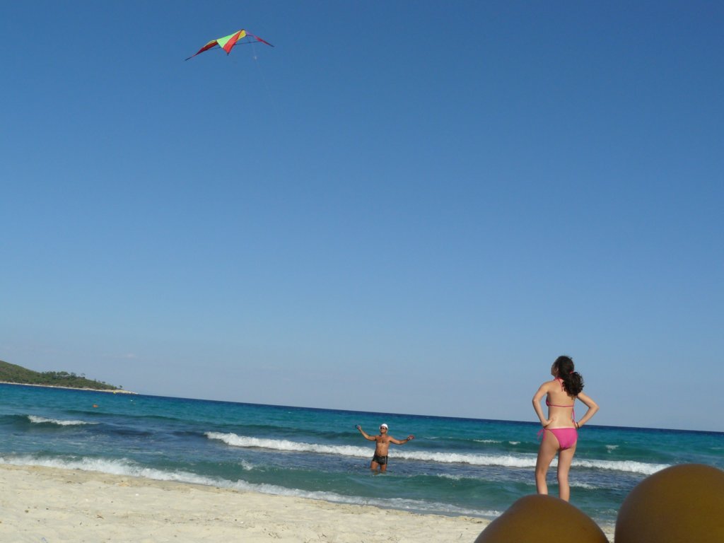p1120861.jpg