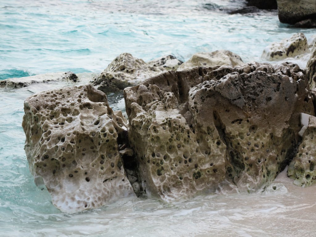 photo82.jpg