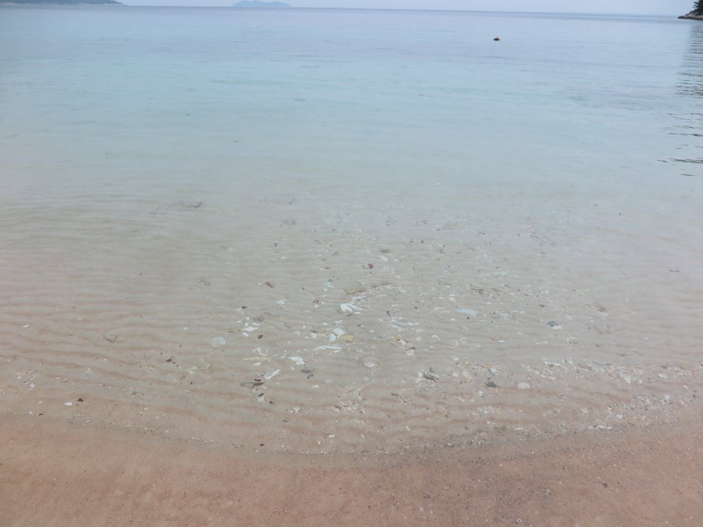 photo96.jpg