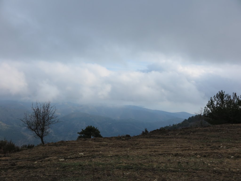 photo51.jpg