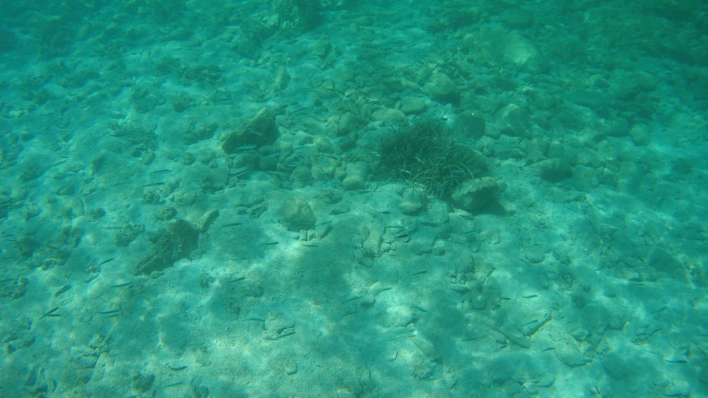 photo149.jpg