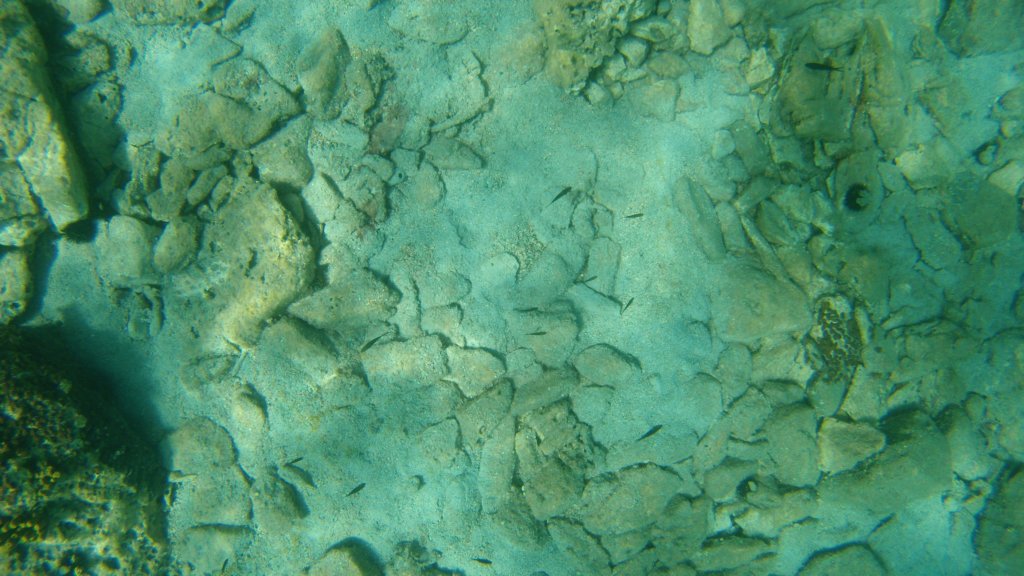 photo152.jpg