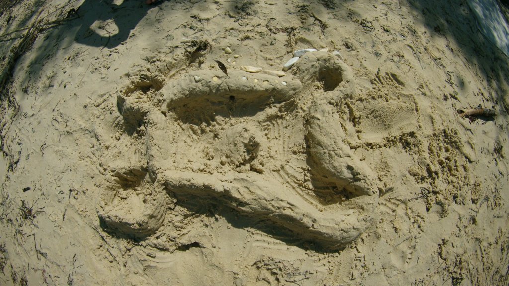 photo169.jpg