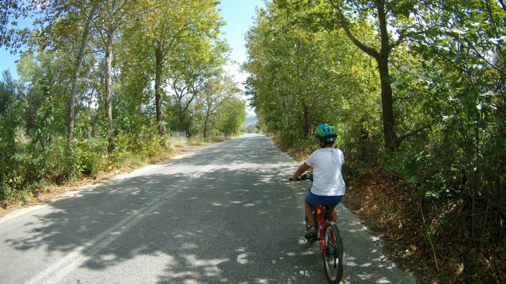 photo47.jpg
