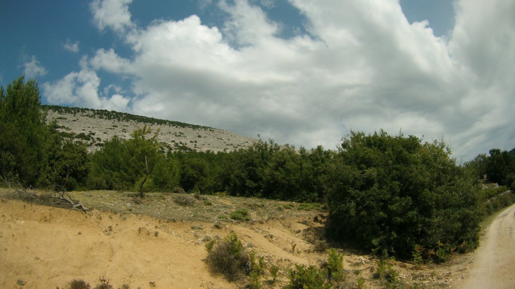 photo55.jpg
