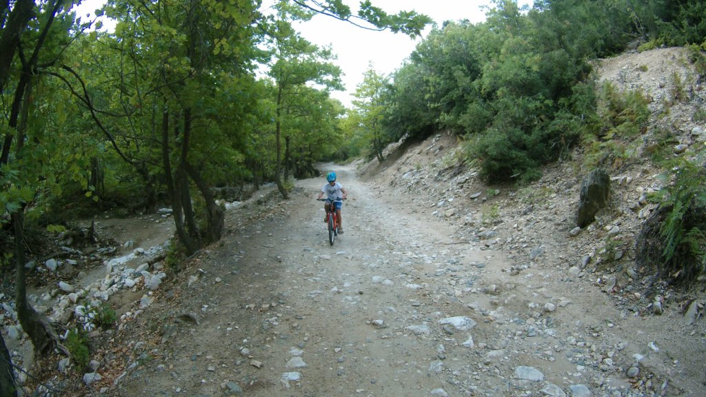 photo58.jpg