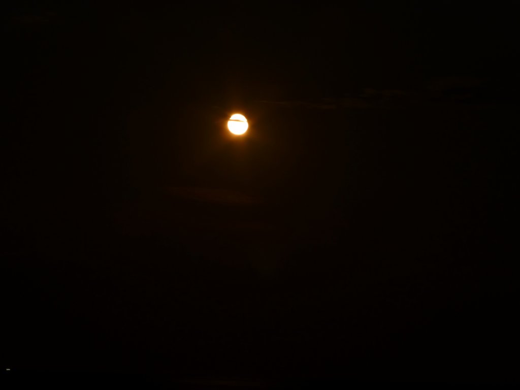 photo86.jpg