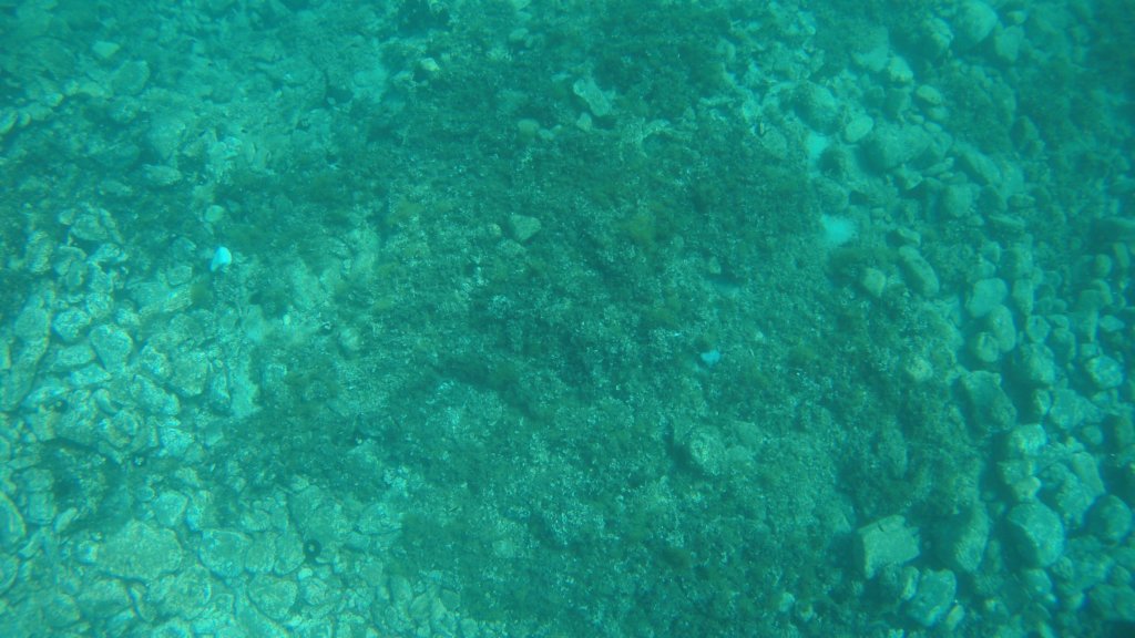photo104.jpg