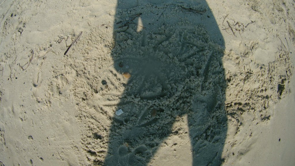 photo56.jpg