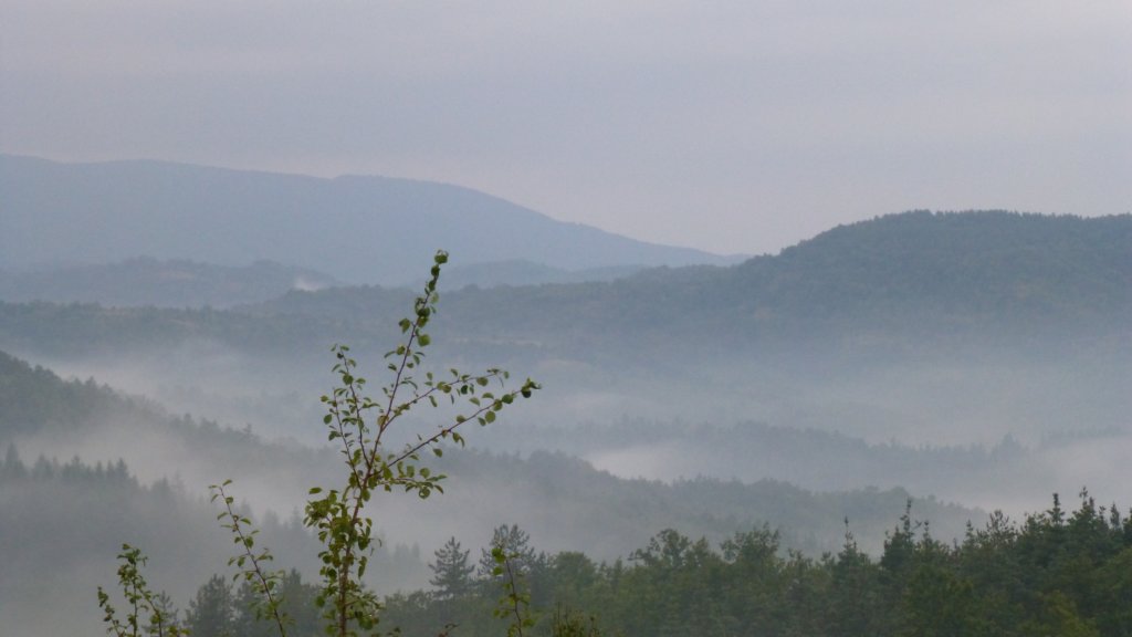 photo8.jpg