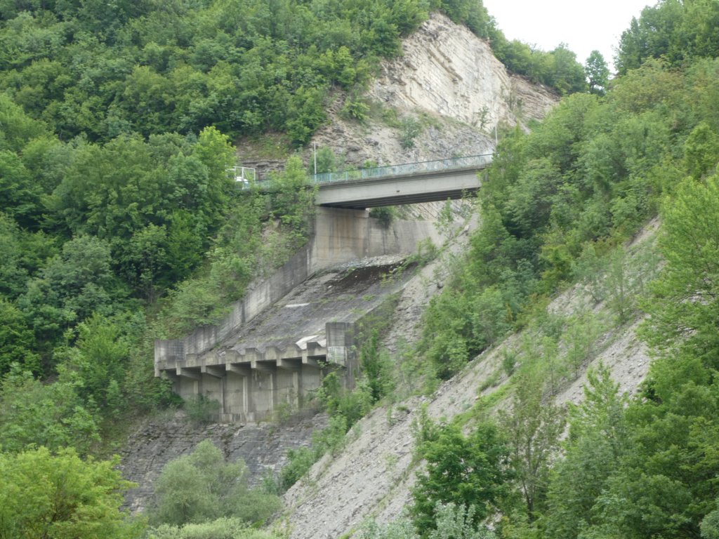 photo14.jpg