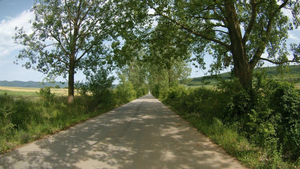 photo16.jpg