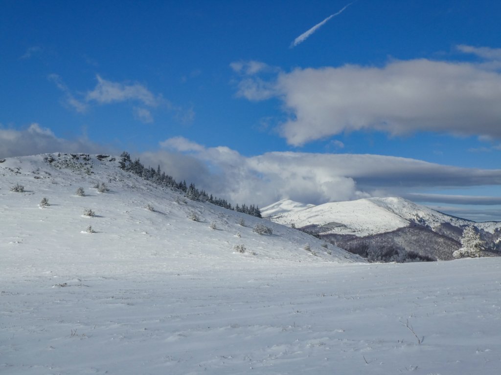 photo18.jpg
