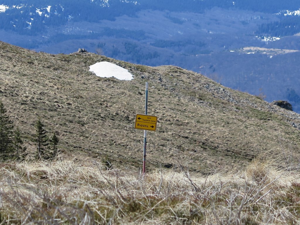 photo20.jpg