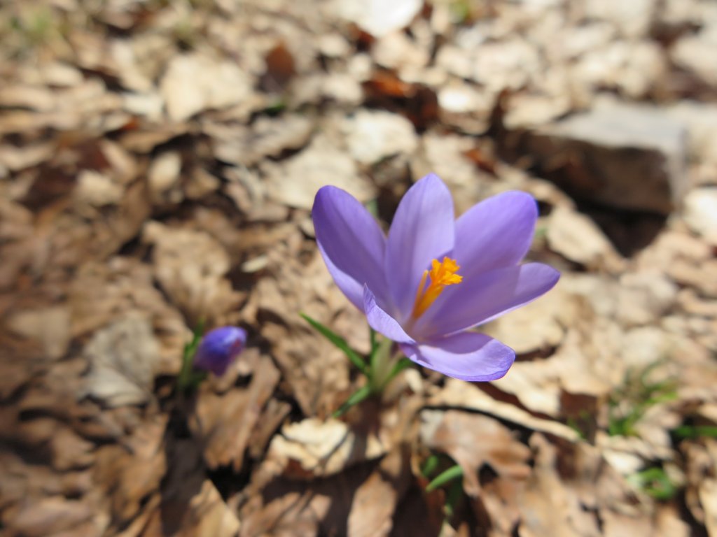 photo3.jpg