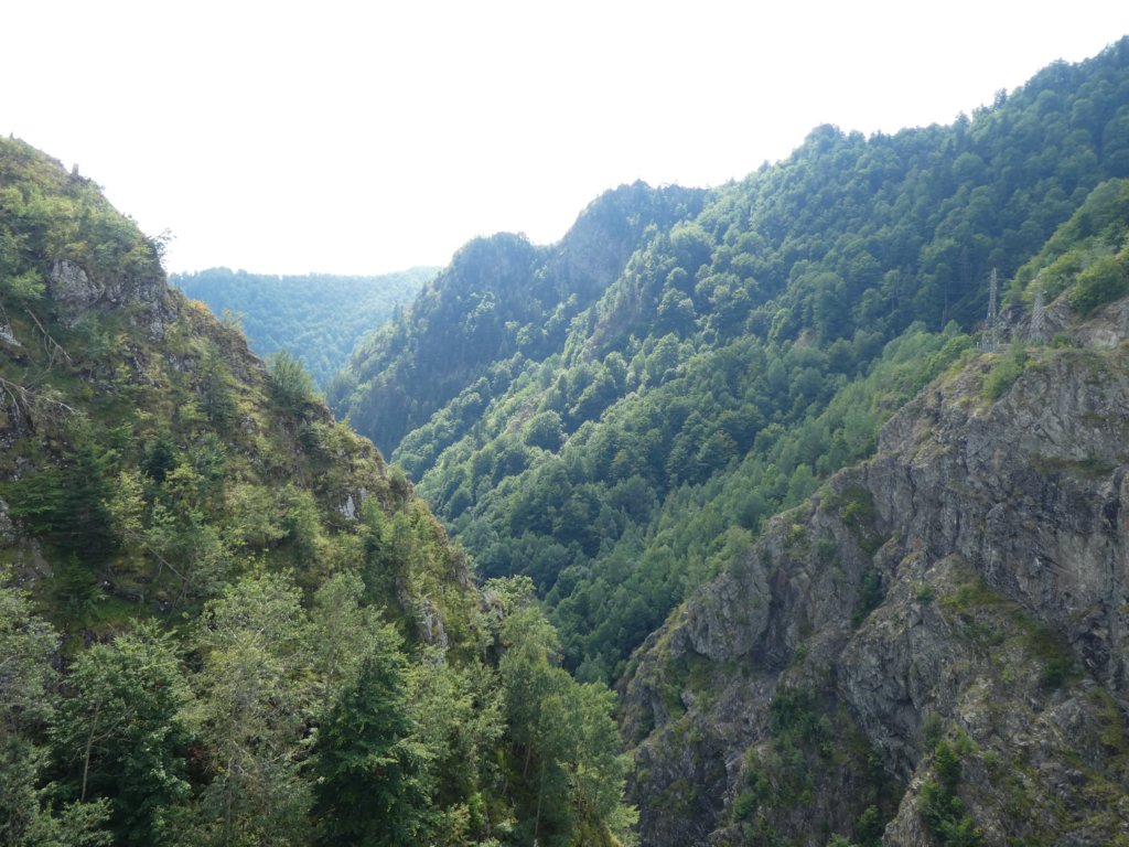 photo10.jpg